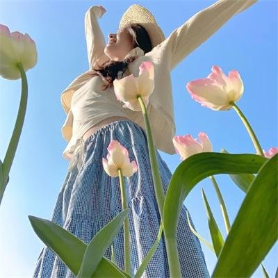 会考风波